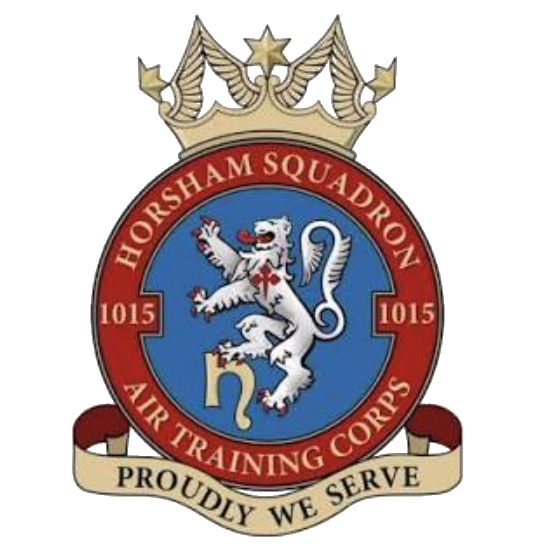 1015 Squadron crest